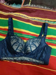 beautiful bra