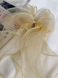 Elegant Sheer Bow Hair Accessory