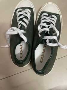 Stylish Green Canvas Sneakers
