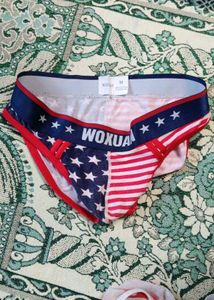 American Flag Print Briefs