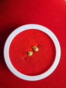 Elegant Gold nosepin