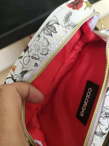 Colorbar Floral Siling Bag