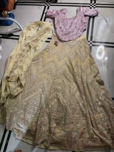 Designer Lehenga Choli Set