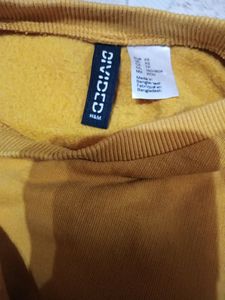 H&amp;M CROP SWEATSHIRT (S)