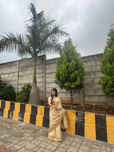 Elegant Gold Saree