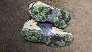 Nike Lebron Sneakers