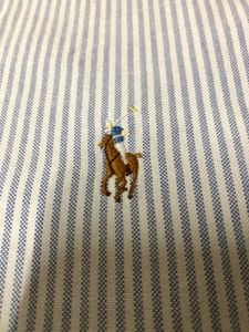 Ralph Lauren Striped Formal Shirt