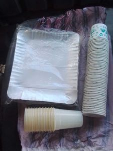 Disposable Paper Plates & Cups
