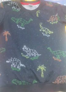 Dinosaur Skater Print Top