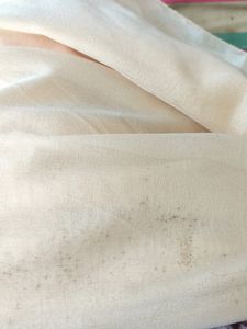 Simple Saree