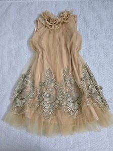 zara Elegant Tulle Embroidered Dress bust 34/36