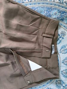 Stylish Pleated Taupe Pants