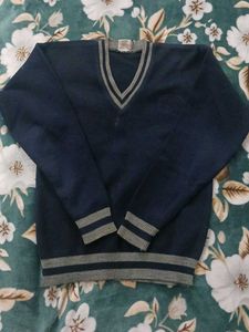 💯SALE V-Neck Sweater