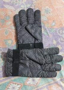 Gloves