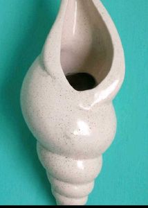 Unique Seashell Planter Pot