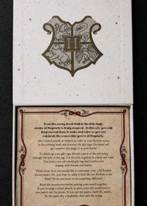 💥 Price Drop 🪄❄️ Harry Potter™ Winter at Hogwart