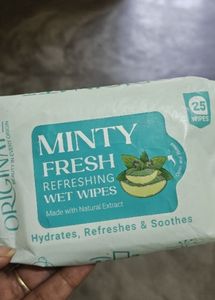 Minty Fresh Refreshing Wet Wipes