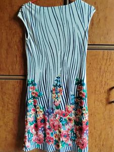 Striped Floral Print Dress