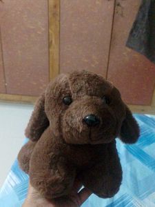 Puppy soft toy