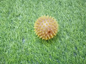 pack of 6 Balls (sponge &amp; plastic)