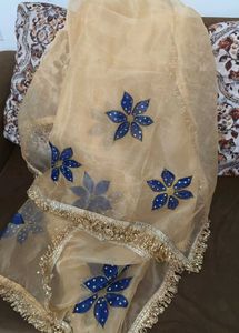 hand painted dupatta