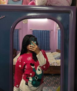 Festive Santa Sweater