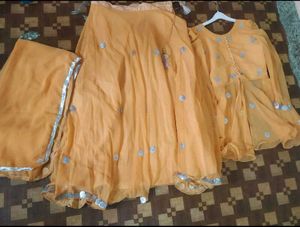 beautiful Indo Western lehenga