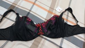 RougeGorge Net Embroidery Wired Bra