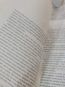 Quantum Computing For Everyone Book