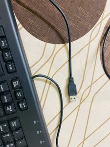 HP Standard Black USB Keyboard