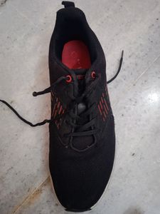 Campus Sport Shoes In Good Condition