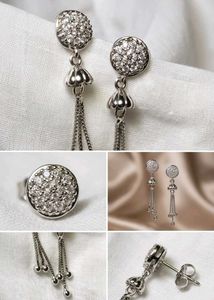 Elegant Silver Drop Earrings ✨