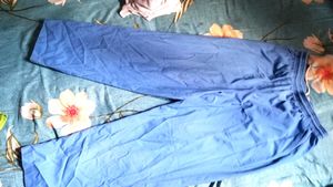 Blue Casual Pants