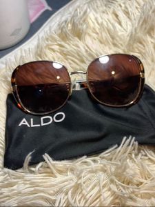 Aldo Tortoiseshell Oversized Sunglasses