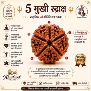 5 मुखी रुद्राक्ष | प्राकृतिक एवं ओरिजिनल पांच मुखी