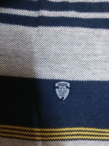 Men's Striped Polo Shirt