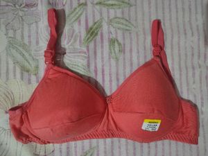 regular padded Pink Everyday Bra  32B