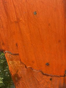 Orange Embroidered Dupatta