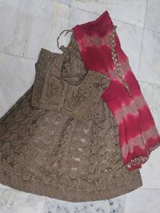 Brown Lehenga Choli with Dupatta