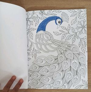 COLOURING BOOK