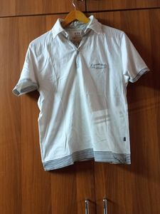 Collered Tshirt For Men