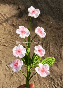 Forget-me-not Flowers