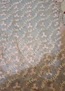 Elegant Peach Net Saree