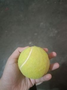 Cricket Ball