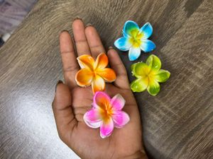 Colorful Flower Claw Clips🌼✨|Set-4 Floralclip