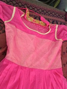 Heavy Beautiful Pink Embroidered gown