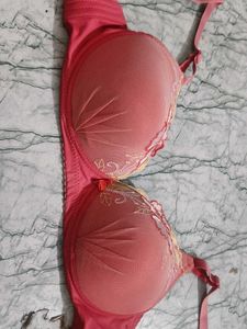 dubble padded phusup bra