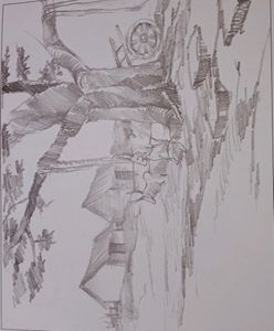 Still Life Shade Drawing
