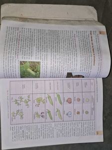 S. Chand's Biology for Class XII