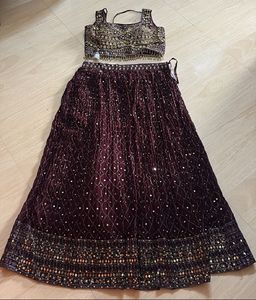 Embroidered Lehenga Choli Set
